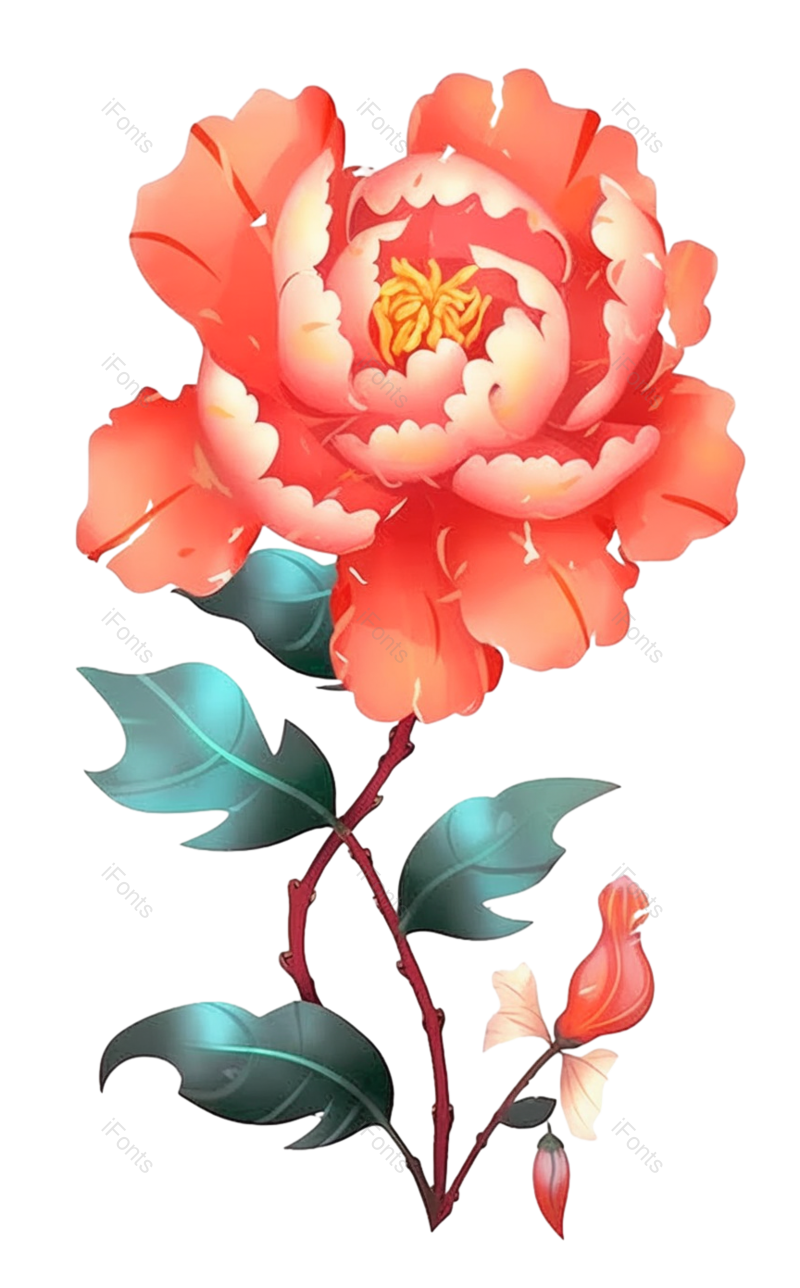红色的花图片,粉红色的花元素,白色背景PNG,灰色背景免抠素材